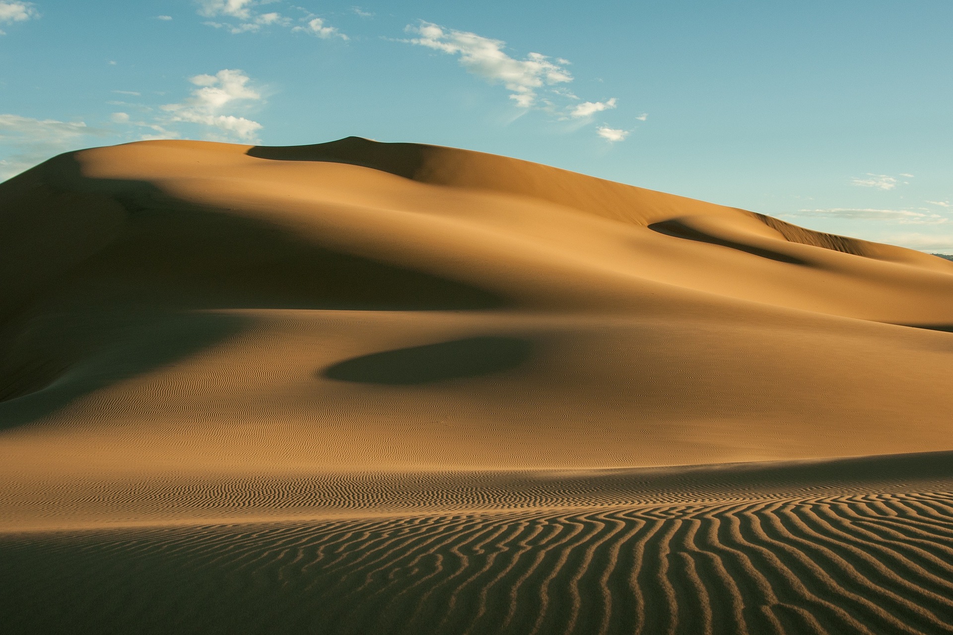 Mongolian steppe at golden hour