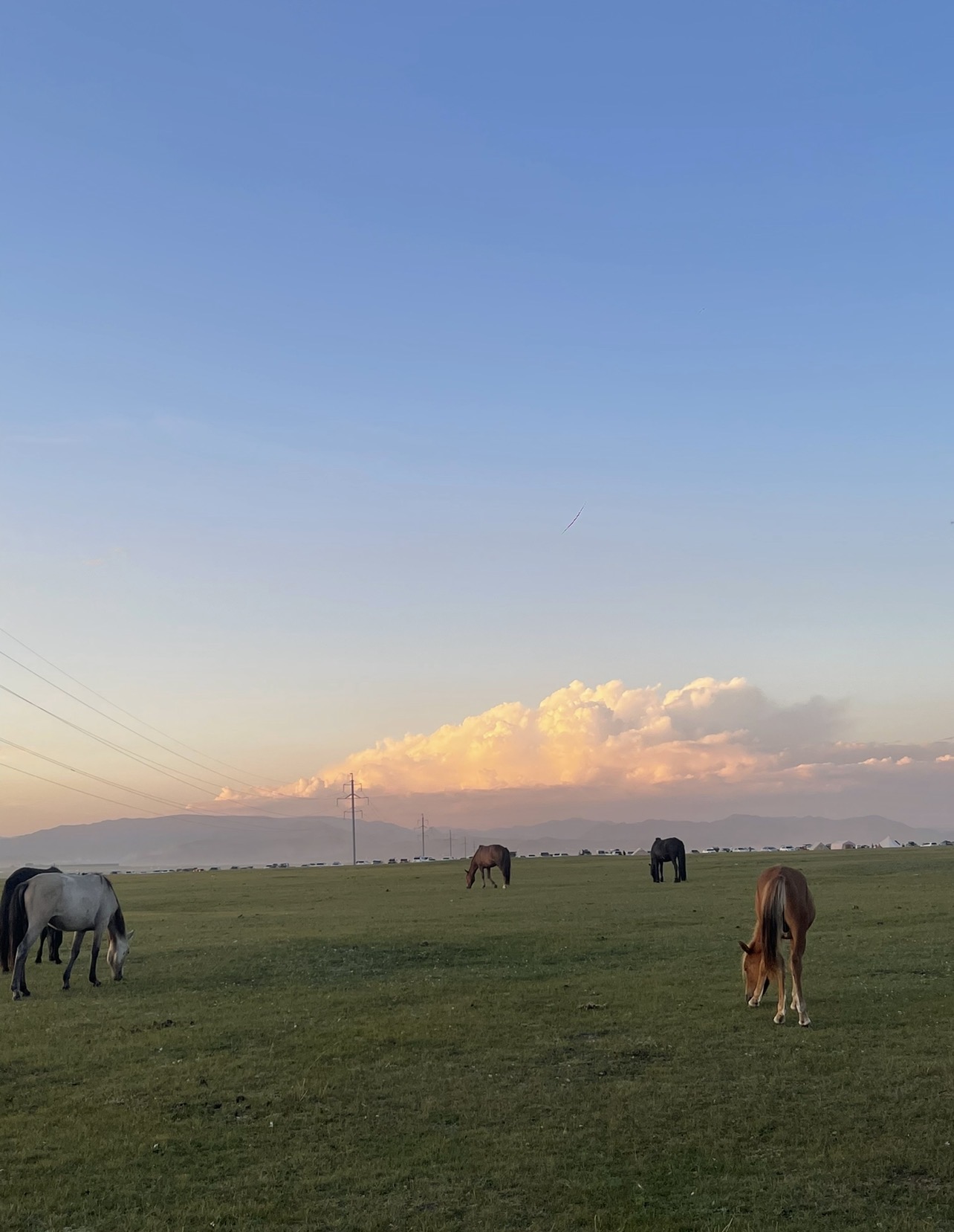 Stars over Mongolian steppe